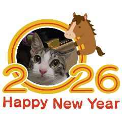 2026也有可愛的貓貓