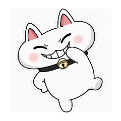 白貓1
