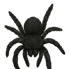 Spider Prank 1 : Animated Stickers