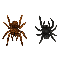 Spider Prank 2 : Animated Stickers