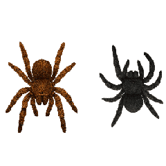 Spider Prank 2 : Animated Stickers