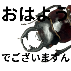 gogenn_20251231224330