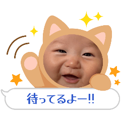 nikoni_20251231221900