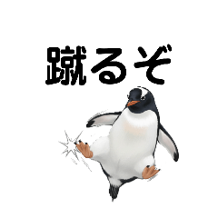 penpens_20251231214757