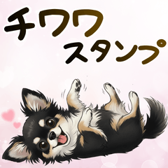 いつでも使える♡チワワの日常②