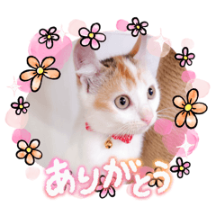 Mugi_20260102135104