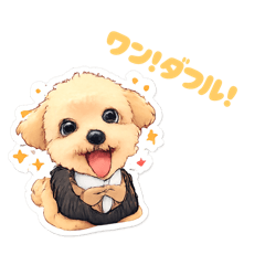 momo_20251231233809