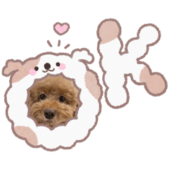 ketan_20260102172836