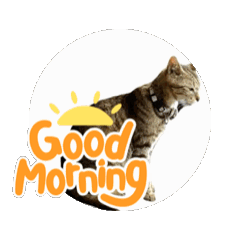 ルーナファミリースタンプ　使いやすい