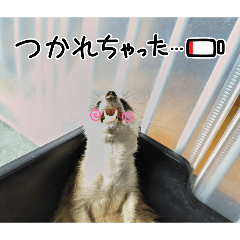 nyamukiti_20260102153619