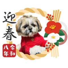 March_20260102153920