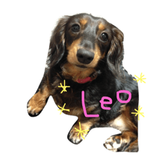 Leo..