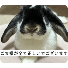 SUZU_20260102143409