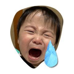 shuji_20260102174832