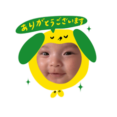 pimomomo_20260102161735