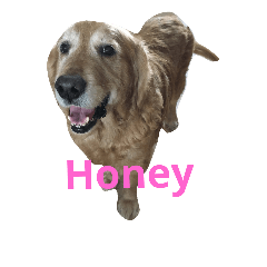 Honey*duoduo
