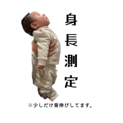 sakura_20260102185333