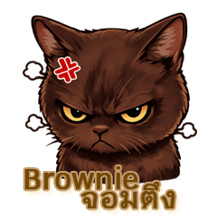 Brownie Chom Tung V.1