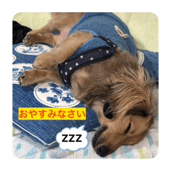 masae_20260102182712