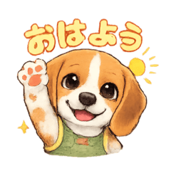 momo_20260102182603