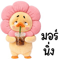 Grumpy Duck pink  flower head
