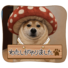 haruna_20260102160901