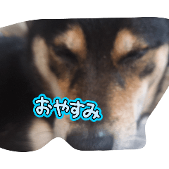 yuto._20260102184451