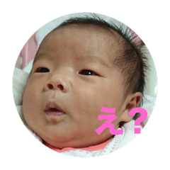 momo_20260102211743