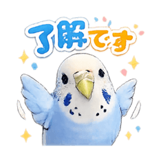 kurione_20260101104156