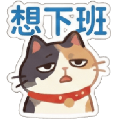 Funny WhiteTalk  Work Special