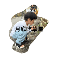 葉黃素2026