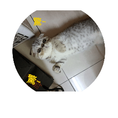 bb   baby@@