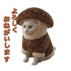 yuka_20260103011825