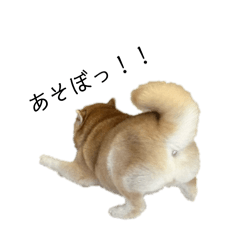 Umechan_20260103003159