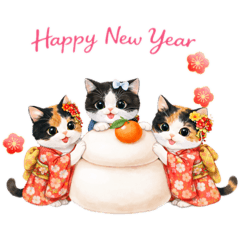 ASUKA_20260102204604