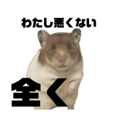 huh_20260102234401