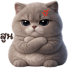 Chubby Grey Cay (Isan)