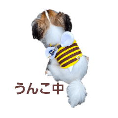 3u_20260102213353