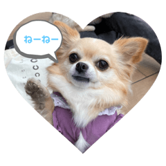 Karin_20260103032920