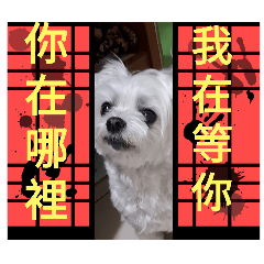 馬爾超可愛的造型