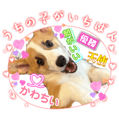 KANA_20260103022318