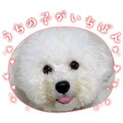 otokun_20260103095714