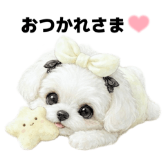 maimai_20260103061823