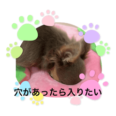 satohiro_20260103070929