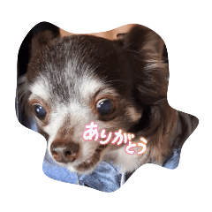 yuto._20260103115455