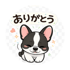 shifone_20260102235625