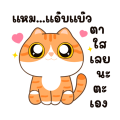 HayaVespa : Working Life