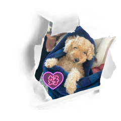 irumi_20260103130445