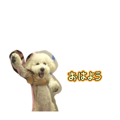 layla_20260101154247