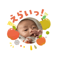 darumakodarumako_20260103135604